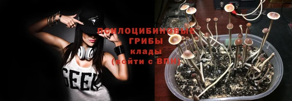 сатива Беломорск