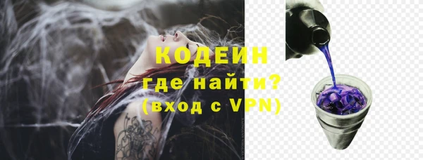 сатива Беломорск