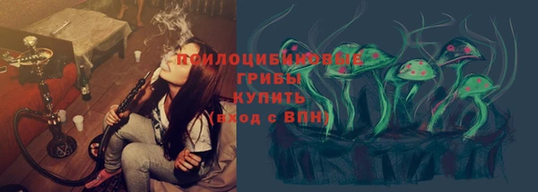 сатива Беломорск