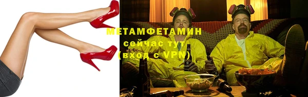 сатива Беломорск