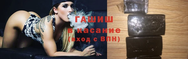 сатива Беломорск