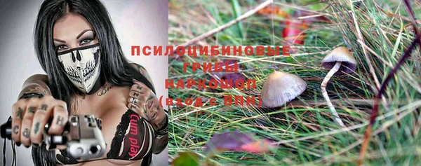 сатива Беломорск