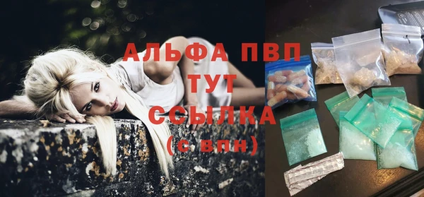 сатива Беломорск