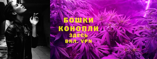 мяу мяу мука Белокуриха