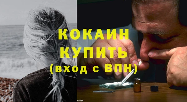 сатива Беломорск