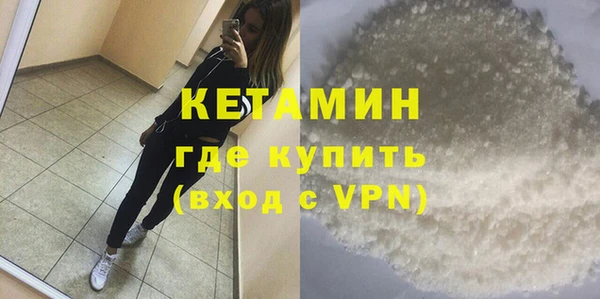 сатива Беломорск
