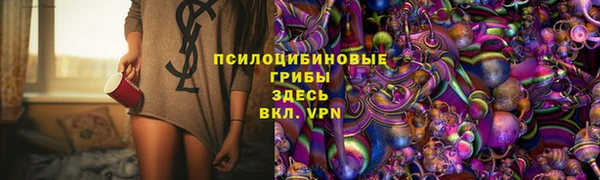 PSILOCYBIN Белоозёрский